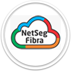 Logo NetSeg